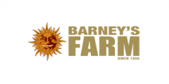 Barneys Farm