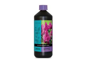 Atami/B'cuzz Blossom Builder Liquid 1 L