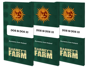 Barney's Farm - Dos Si Dos 33 (3 Stück)